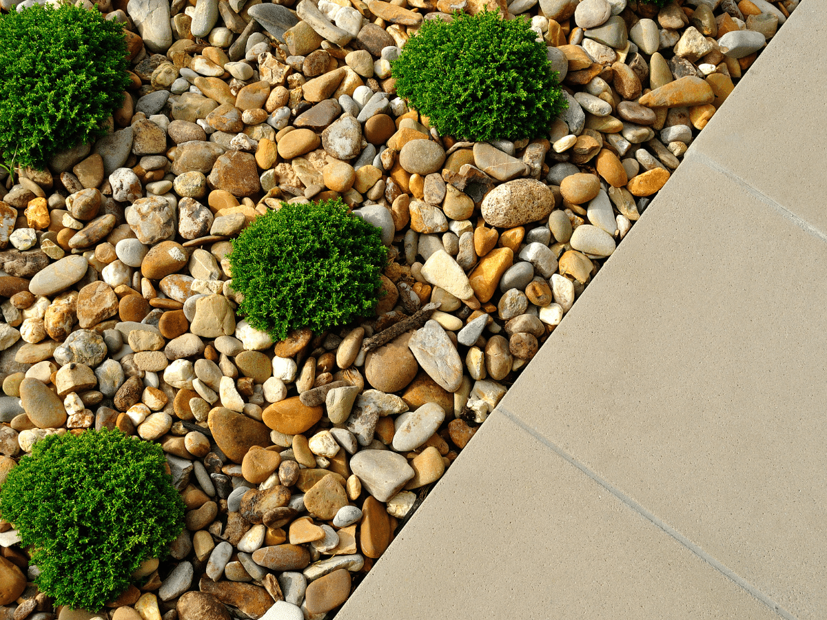 Xeriscape Front Lawn Fort Lupton CO