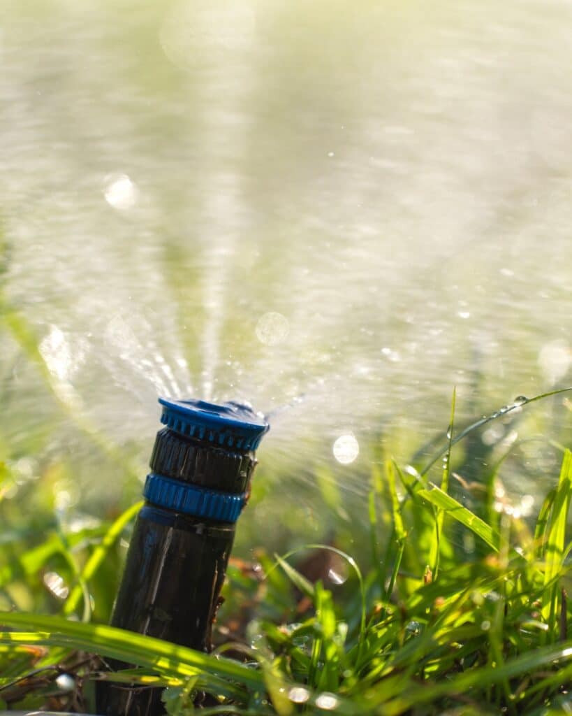 Homeowner watering a dormant lawn in Fort Lupton, CO with guidance from Landscape Design & Lawn Irrigation for winter care